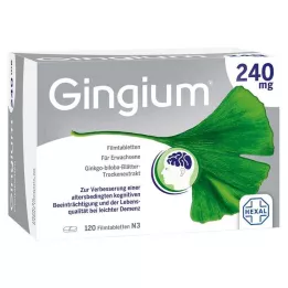 GINGIUM 240 mg filmom obalené tablety, 120 kusov