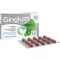 GINGIUM 80 mg filmom obalené tablety, 30 ks