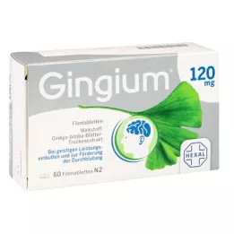 GINGIUM 120 mg filmom obalené tablety, 60 ks