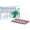 GINGIUM 120 mg filmom obalené tablety, 60 ks