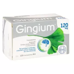 GINGIUM 120 mg filmom obalené tablety, 120 kusov