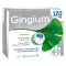 GINGIUM 120 mg filmom obalené tablety, 120 kusov