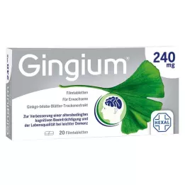 GINGIUM 240 mg filmom obalené tablety, 20 kusov