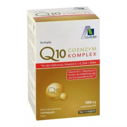 COENZYM Q10 100 mg kapsule+vitamíny+minerály, 120 ks