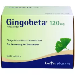 GINGOBETA 120 mg filmom obalené tablety, 100 ks