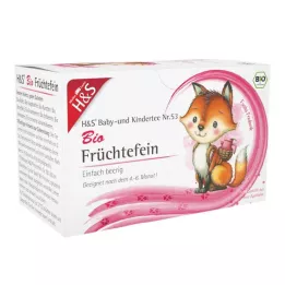 H&amp;S Organický dojčenský a detský čaj Ovocie jemné filtračné vrecko, 20X2,5 g