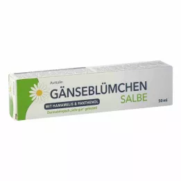 GÄNSEBLÜMCHEN Masť s vilínom &amp; Panthenol, 50 ml