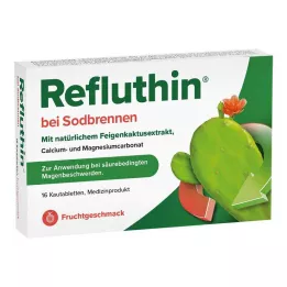 REFLUTHIN na pálenie záhy žuvacie tablety ovocie, 16 ks