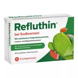 REFLUTHIN na pálenie záhy žuvacie tablety ovocie, 48 ks