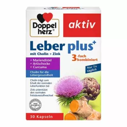 DOPPELHERZ Kapsule Liver plus s cholínom a zinkom, 30 kapsúl