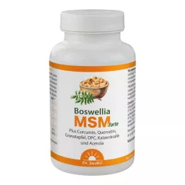 BOSWELLIA MSM forte Dr. Jacobs Tablets, 90 ks