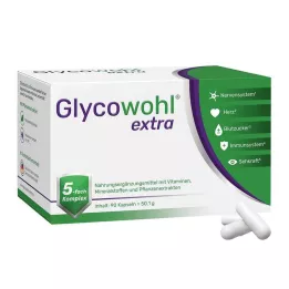 GLYCOWOHL extra kapsule, 90 ks