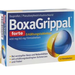 BOXAGRIPPAL forte studená palica. 400 mg/60 mg FTA, 12 ks