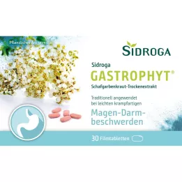 SIDROGA GastroPhyt 250 mg filmom obalené tablety, 30 ks