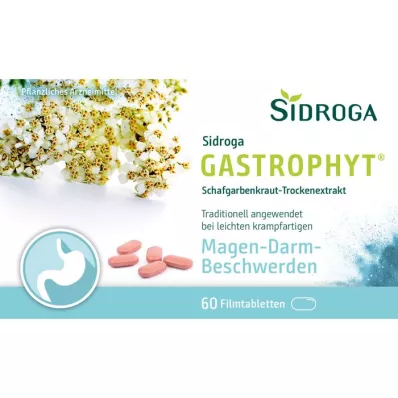 SIDROGA GastroPhyt 250 mg filmom obalené tablety, 60 ks