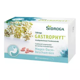 SIDROGA GastroPhyt 250 mg filmom obalené tablety, 60 ks