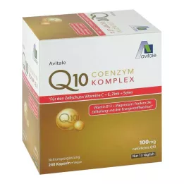 COENZYM Q10 100 mg kapsule+vitamíny+minerály, 240 ks