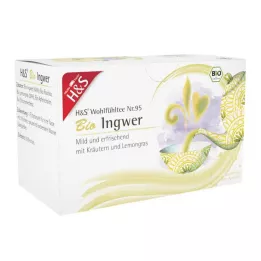 H&amp;S Organické filtračné vrecko na zázvor, 20X2 g