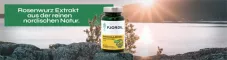 Instructions for use for Fjordil Rhodiola Rosea kapsuly (90 kusov) - 1