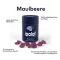 Ipalat Pastilles Flavour Edition Mulberry (40 kusov)