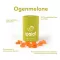 Ipalat Pastilles Flavour Edition Ogenmelon (40 kusov)