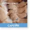 CAPSTAR 57 mg tablety pre veľké psy, 1 ks