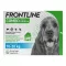 FRONTLINE COMBO proti kliešťom, blchám na psoch M (10-20 kg), 3 ks