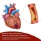 BEH Artery+ Capsules, 90 kapsúl