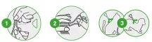 Instructions for use for FRONTLINE COMBO SPOT ON Mačka, 3 ks - 5