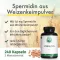 Green Naturals Spermidine 1,6 mg vegánske kapsuly, 240 ks
