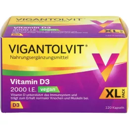 VIGANTOLVIT 2000 I.U. vitamín D3 vegánske mäkké kapsuly, 120 ks