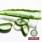 Plantana Aloe Vera Care sprchový kúpeľ s bio Aloe Vera, 500 ml